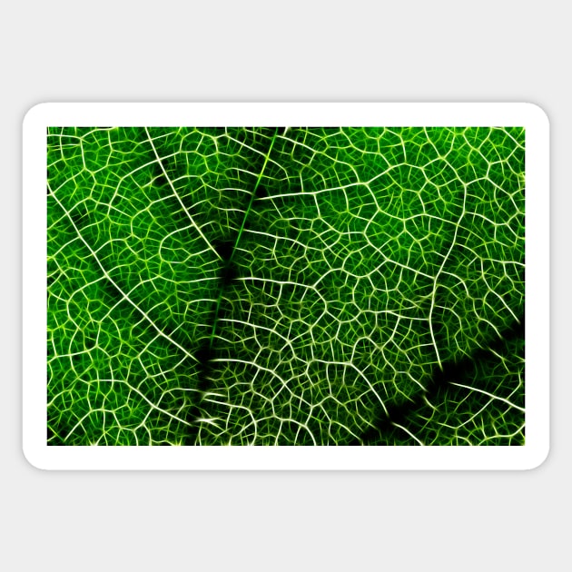 Green Leaf Macro Sticker by somadjinn